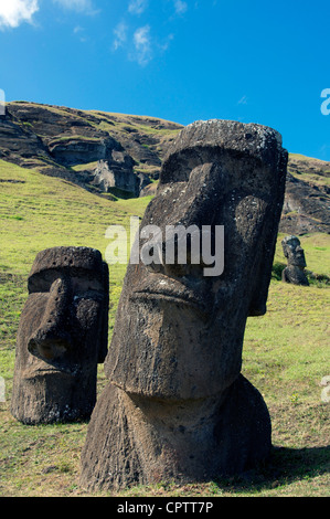 Due Moai Rano Raraku quarry Isola di Pasqua Cile Foto Stock