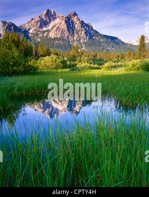 Sawtooth National Recreation Area, ID sole di mattina sul Monte McGown con riflessioni su una zona umida erbosa stagno Foto Stock