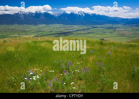 Nazionale gamma Bison Wildlife Refuge prateria di rotolamento su pendii con fiori estivi sotto cumuli di nuvole Foto Stock