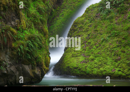 Mount Hood National Forest, o molla: flusso di velo nuziale cade in un muschio coperto canyon Foto Stock