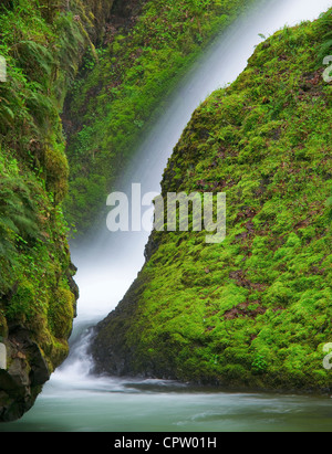 Mount Hood National Forest, O: Dettaglio di Bridal Veil Falls e moss rocce coperte Foto Stock