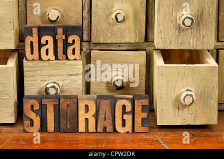 Lo storage dei dati concetto - parole in rilievografia vintage tipo legno e primitivo in legno rustico speziale armadio con cassetti Foto Stock