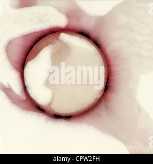 Abstract background. Macchia di vino. Foto Stock