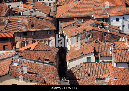 Tetti e architettura tradizionale a Lucca, Italia Foto Stock