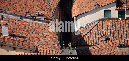 Tetti e architettura tradizionale a Lucca, Italia Foto Stock