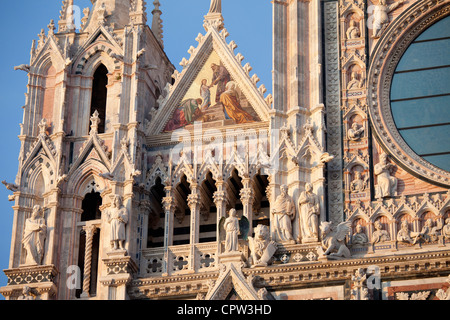 Il Duomo di Siena il Duomo di Siena, Italia Foto Stock