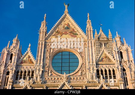 Il Duomo di Siena il Duomo di Siena, Italia Foto Stock