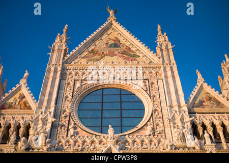 Il Duomo di Siena il Duomo di Siena, Italia Foto Stock