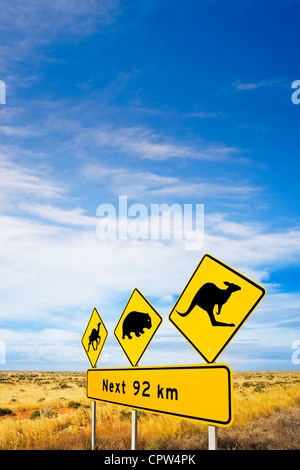 Famoso segno su Nullarbor Plain, Sud Australia, avviso agli automobilisti di cammelli, Wombats e canguri e big sky. Foto Stock