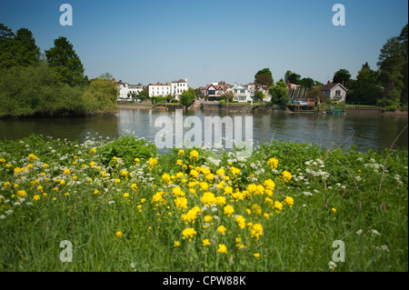 Il fiume Tamigi e torta di Anguilla isola dalla banca di prosciutto sul Tamigi pista ciclabile nel sud ovest di Londra che guarda verso il Twickenham Foto Stock