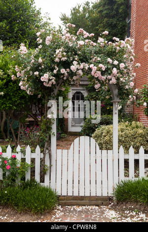 Il giallo e il rosso dei fiori che crescono lungo un white Picket Fence nel giardino tradizionale Foto Stock