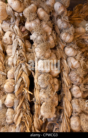 Trecce di aglio, Allium sativum, in vendita nel mercato alimentare a Pienza, Toscana, Italia Foto Stock