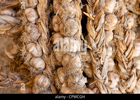 Trecce di aglio, Allium sativum, in vendita nel mercato alimentare a Pienza, Toscana, Italia Foto Stock