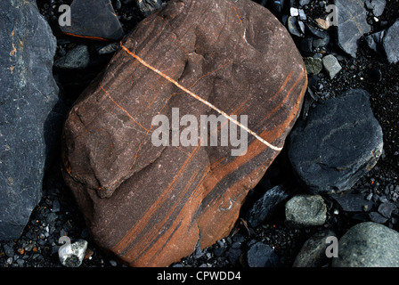 Di pietra con il ferro da stiro e depositi di quarzo in Exit Glacier lavaggio, Exit Glacier, Kenia fiordi Parco Nazionale. Foto Stock