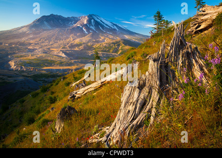 Il Monte Sant Helens National Volcanic Monument Foto Stock