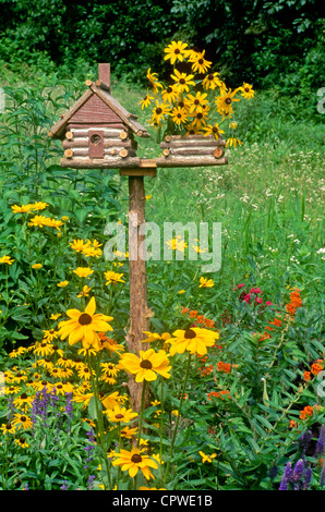 Unico per il log cabin bird house vista frontale con una piantatrice fatta di fiori Rudbeckia, giardino estivo, Midwest USA Foto Stock