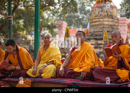 Lama tibetano monaci a pregare nel tempio di Mahabodhi, Bodh Gaya, Bihar, in India Foto Stock