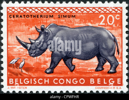 CONGO BELGA - circa 1959: francobolli stampati nel Congo Belga, mostra un rinoceronte bianco, circa 1959 Foto Stock