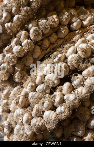 Trecce di aglio, Allium sativum, in vendita nel mercato alimentare a Pienza, Toscana, Italia Foto Stock