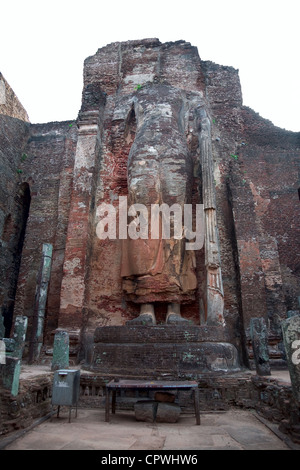 Le rovine di una statua di Budda statua con app. 8 m di altezza, Polonnaruwa (antica dello Sri Lanka di capitale), Sri Lanka Foto Stock