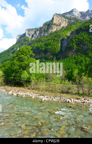 Fiume Arazas e Ordesa National Park in primavera. Provincia di Huesca. Aragón. Pirenei Spagna Foto Stock