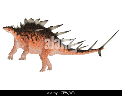 Illustrazione di un Kentrosaurus (specie di dinosauro) isolato su sfondo bianco Foto Stock