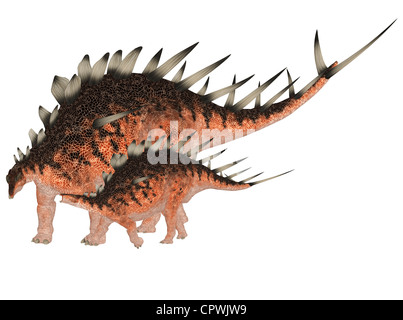 Illustrazione di un adulto e un giovane Kentrosaurus (specie di dinosauro) isolato su sfondo bianco Foto Stock