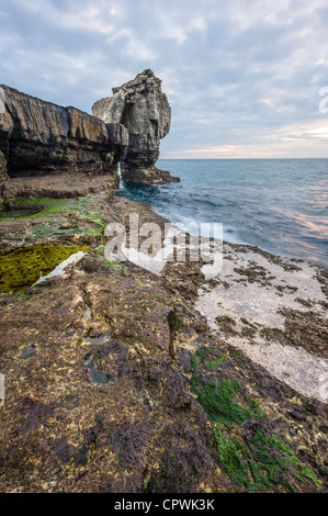 Il pulpito rock al tramonto Portland Bill Portland Dorset Regno Unito Foto Stock