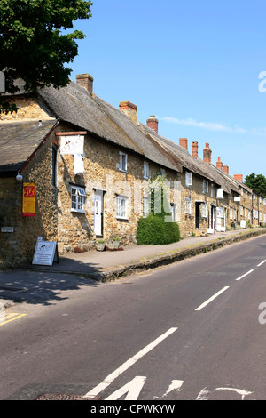 Cottages dal tetto di paglia in Abbotsbury Dorset Foto Stock