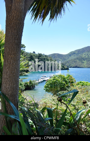 A resort Lochmara Lodge vicino alla città di su Picton Marlborough Sounds. Foto Stock
