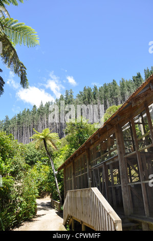 A resort Lochmara Lodge vicino alla città di su Picton Marlborough Sounds. Foto Stock