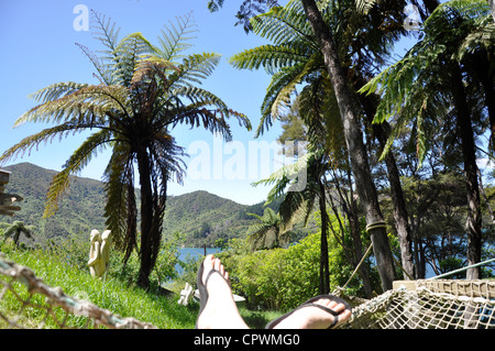 Amaca a resort Lochmara Lodge vicino alla città di su Picton Marlborough Sounds. Nuova Zelanda paradise bellezza natura paesaggio Foto Stock