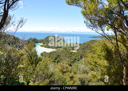 Nuova Zelanda Parco Nazionale Abel Tasman Frenchmans Bay Cove una laguna di marea è vista dal di sopra su un punto di vista lungo la costa Foto Stock