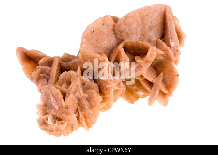 Rosa del Deserto, cristalli fatta di sabbia Foto Stock