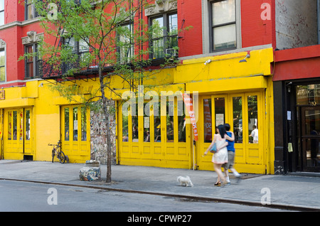 Giovane cane a camminare sul marciapiede in New York City East Village quartiere. Foto Stock