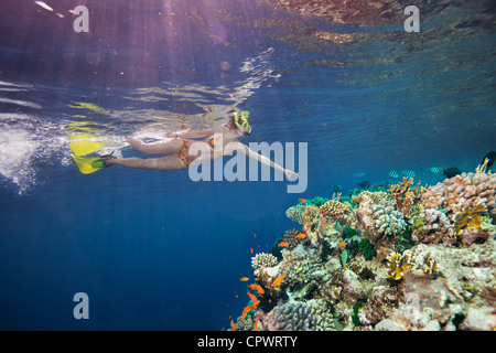 Donna scuba diver rivolto ai bellissimi coralli e pesci sott'acqua Foto Stock