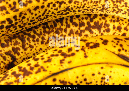 Close up mature, spotted banane Foto Stock