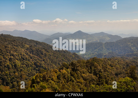 La foresta pluviale tropicale highland vista guardando a sud, colline boscose, serata calda luce del sole, Genting Highlands, Malaysia. Foto Stock