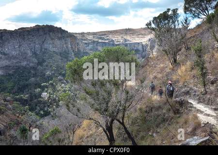 Scogliere di arenaria, Isalo National Park, Ihorombe Regione del Madagascar. Foto Stock