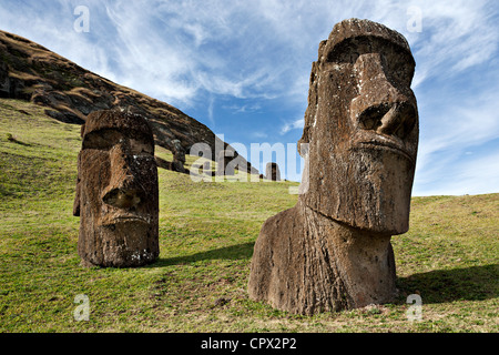 Moai statue, Rano Raraku, isola di pasqua, Polinesia Foto Stock