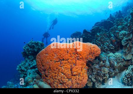 I subacquei su una parete inclinata Foto Stock