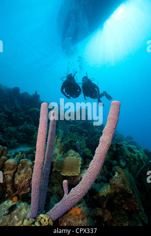 I subacquei su una parete inclinata Foto Stock