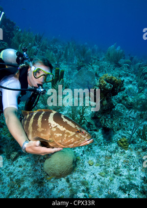 Interazione con la vita marina Foto Stock