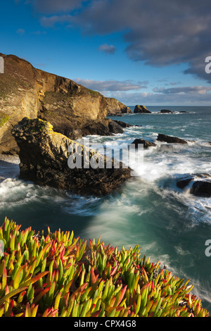 Lizard Point (punto piu' meridionale nel territorio continentale del Regno Unito), Cornwall, Inghilterra Foto Stock