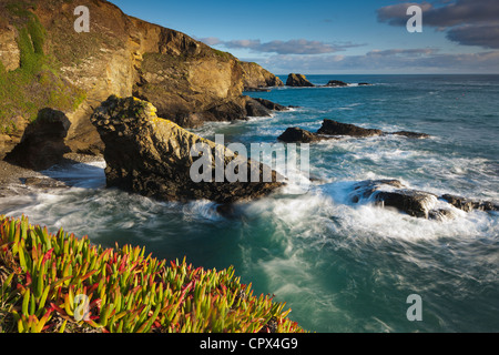 Lizard Point (punto piu' meridionale nel territorio continentale del Regno Unito), Cornwall, Inghilterra Foto Stock