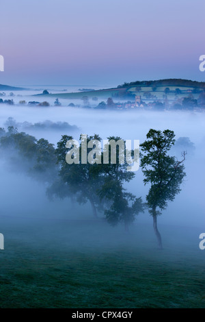 Una nebbiosa mattina autunnale, Milborne Port, sul Dorset/Confine di Somerset, Inghilterra, Regno Unito Foto Stock