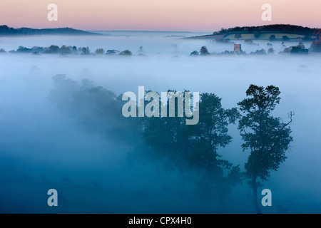 Una nebbiosa mattina autunnale, Milborne Port, sul Dorset/Confine di Somerset, Inghilterra, Regno Unito Foto Stock