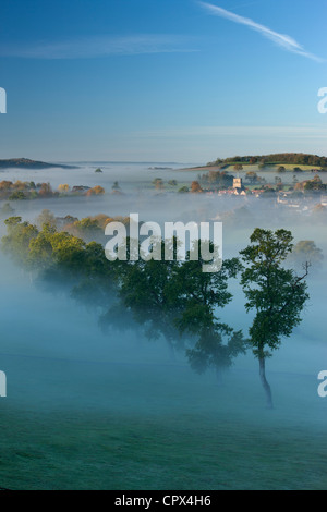 Una nebbiosa mattina autunnale, Milborne Port, sul Dorset/Confine di Somerset, Inghilterra, Regno Unito Foto Stock