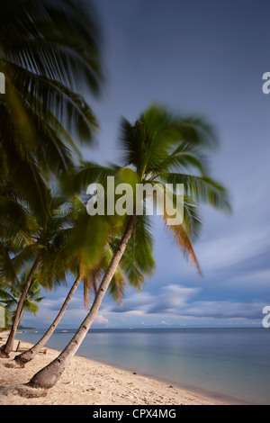 Spiaggia di San Juan, Siquijor, Visayas, Filippine Foto Stock