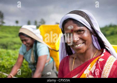 Il tè pluckers sul Pedro station wagon, Nuwara Eliya, Southern Highlands, Sri Lanka Foto Stock